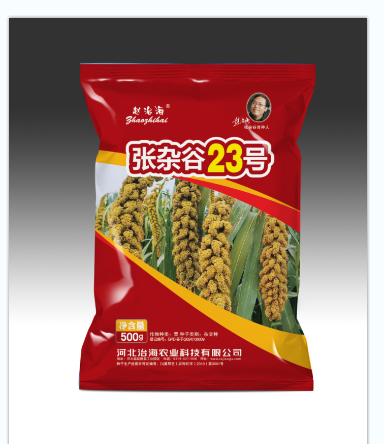 张杂谷23号